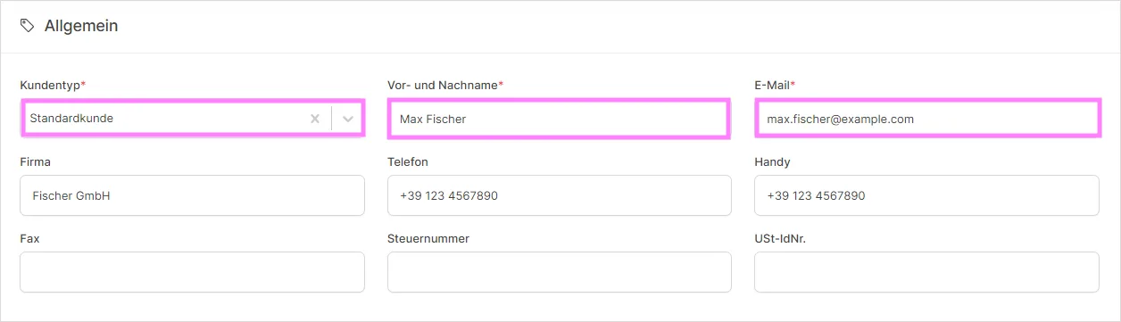 Formularbereich Allgemein mit Kundentyp, Name, E-Mail und Firmendaten